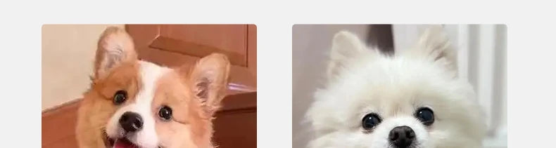 Pet 2/3 Step Dog Stair Cat Pet Ramp Ladder Washable Non Slip Removable Memory Foam Pet Products Ramp for Dog Pet Stairs for Dogs