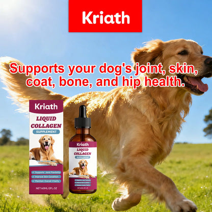 Collagen Drops for Dogs Only - Cares for Dog's Body, Gentle Formula, Nourishes Fur Health, Supports Joints, Skin & Bone Health