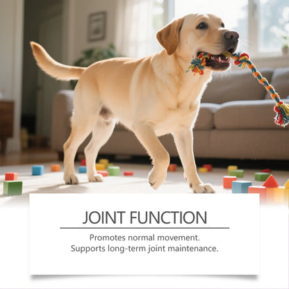 Pet Dog Joint Care Soft Chews-Nourishing Formula Supports Cartilage Relieves Discomfort Supplements Nutrition Promotes Movement