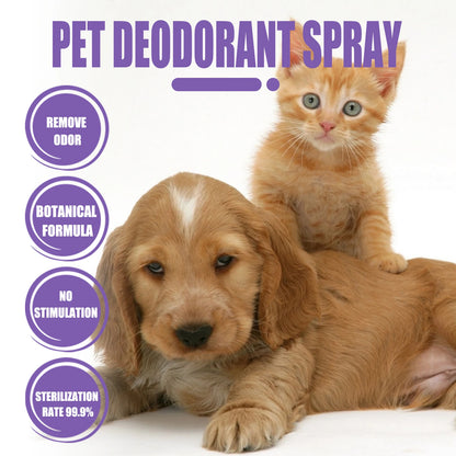 Pet Odor Eliminator Spray for Home Dog Cat Urine Feces Smell Long Lasting Air Freshener Natural Deodorizer 50ml Travel Size