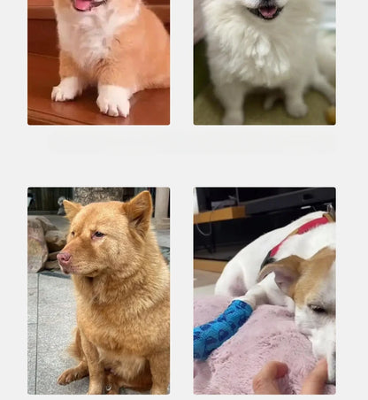 Pet 2/3 Step Dog Stair Cat Pet Ramp Ladder Washable Non Slip Removable Memory Foam Pet Products Ramp for Dog Pet Stairs for Dogs