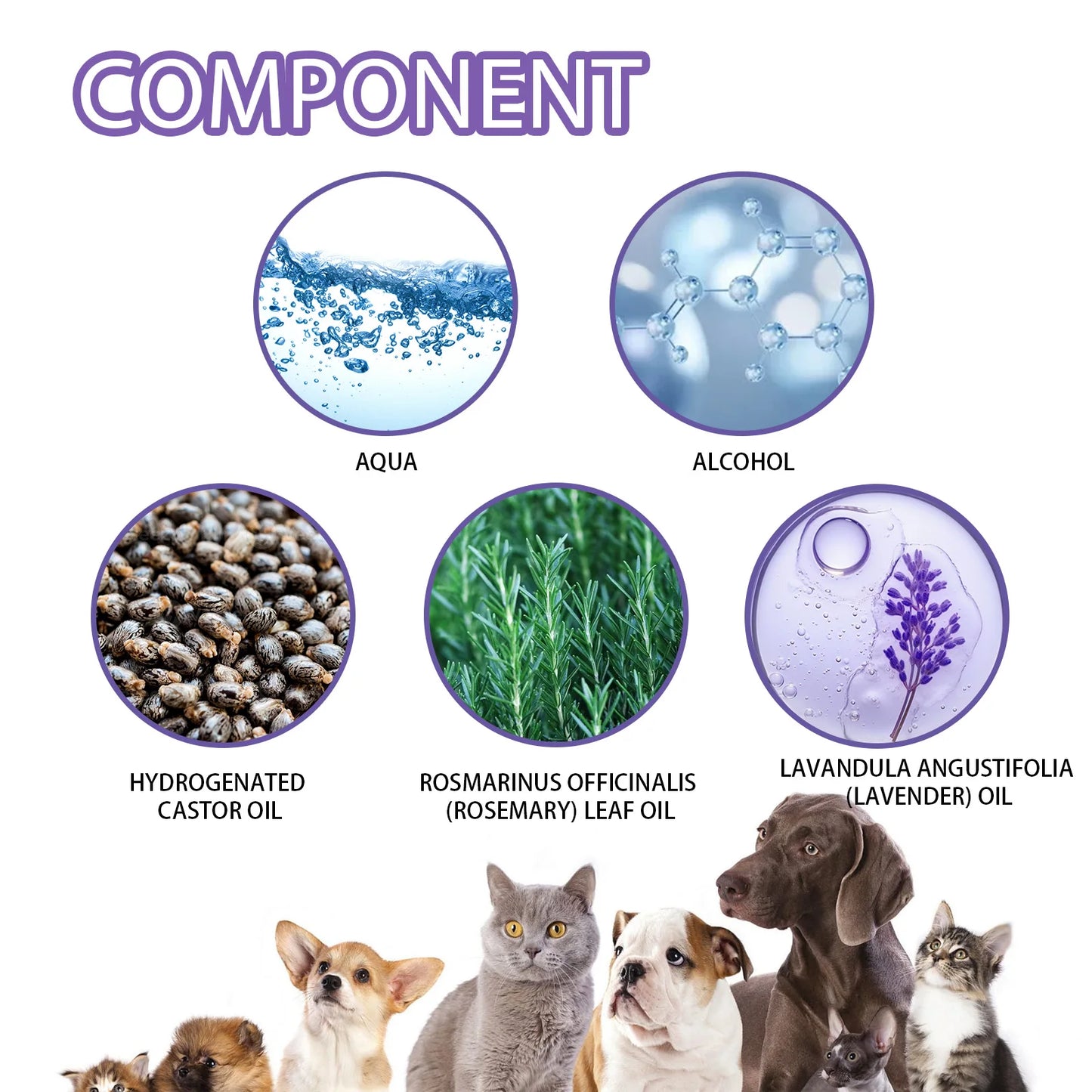 Pet Odor Eliminator Spray for Home Dog Cat Urine Feces Smell Long Lasting Air Freshener Natural Deodorizer 50ml Travel Size