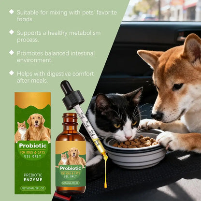 Pet Nutrition Supplement Probiotic Drops Containing Enzymes Used For Pet Digestion And Immune Support Daily Health Supplement
