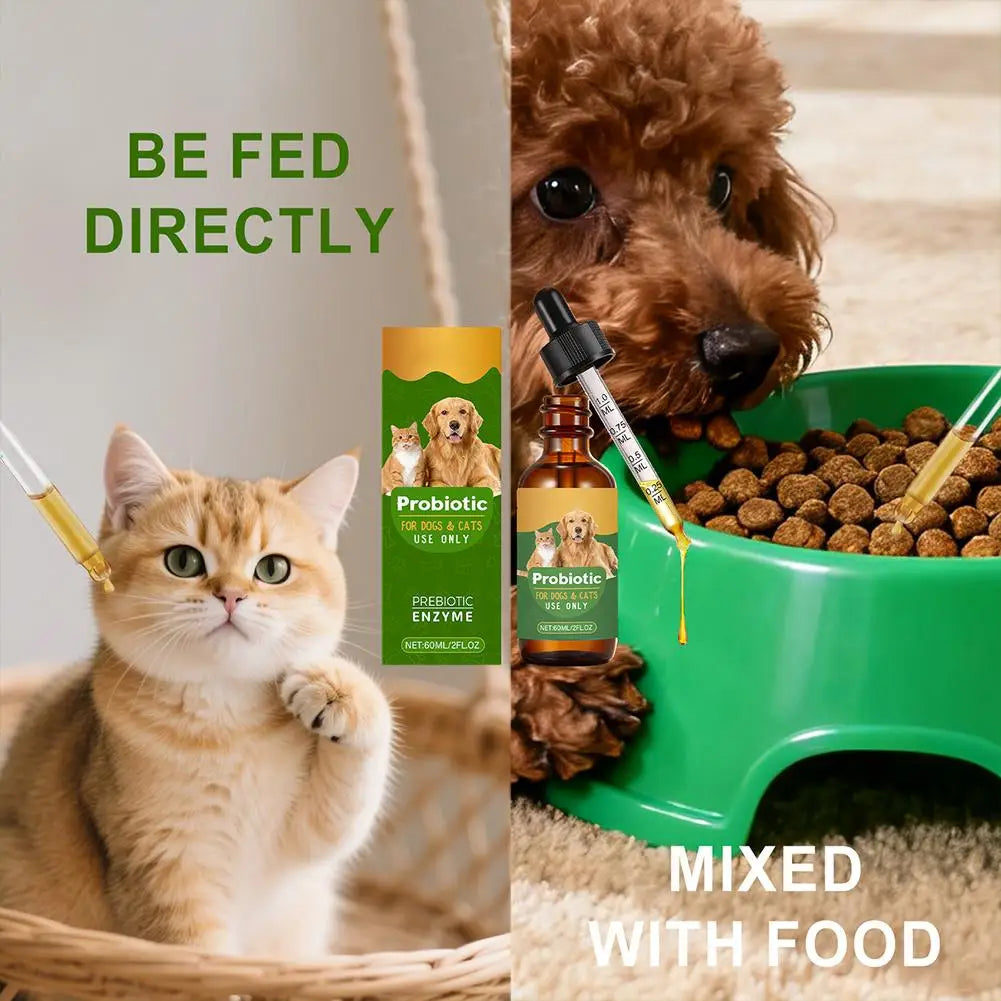 Pet Nutrition Supplement Probiotic Drops Containing Enzymes Used For Pet Digestion And Immune Support Daily Health Supplement