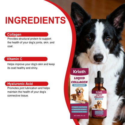 Collagen Drops for Dogs Only - Cares for Dog's Body, Gentle Formula, Nourishes Fur Health, Supports Joints, Skin & Bone Health