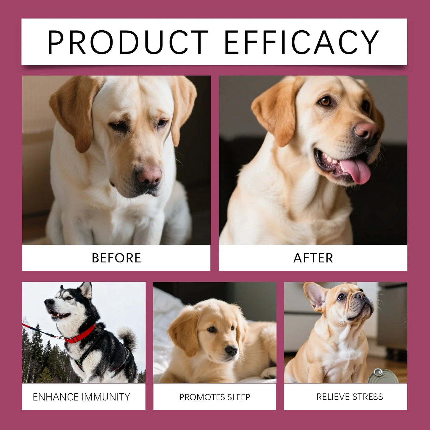 Collagen Drops for Dogs Only - Cares for Dog's Body, Gentle Formula, Nourishes Fur Health, Supports Joints, Skin & Bone Health