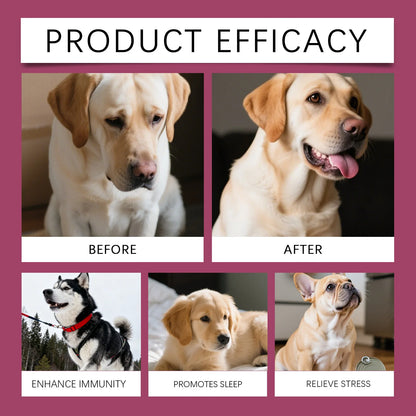 Collagen Drops for Dogs Only - Cares for Dog's Body, Gentle Formula, Nourishes Fur Health, Supports Joints, Skin & Bone Health