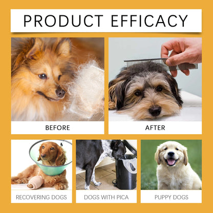 Dog Health Support Drops Anti-Allergy Relieves Discomfort Balanced Formula Supports Immunity Enhances Vitality Pet Supplement