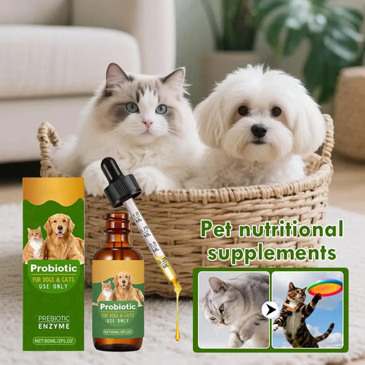 Pet Nutrition Supplement Probiotic Drops Containing Enzymes Used For Pet Digestion And Immune Support Daily Health Supplement