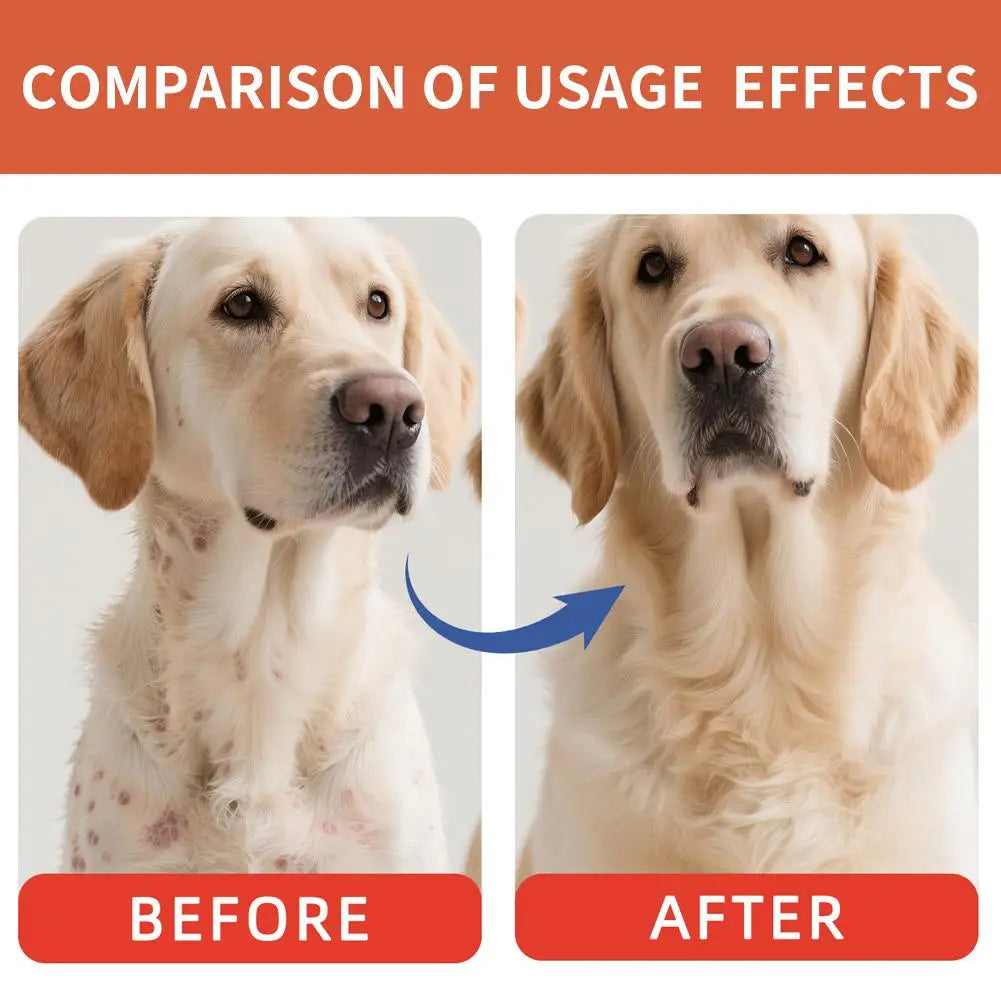 New 80g Dog Digestive Support Improved Digestion Supplement Natural Support Nutrition For Puppy Dog Intestinal Flora Regulation