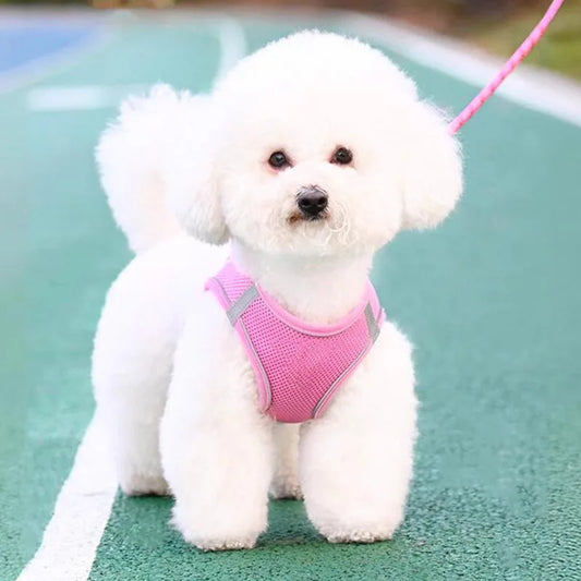 Harness for a Dog Harness Guard Harnesses for Dogs Pet Puppy Big the Small Breed Medium Anatomical Large Breeds Goods Product