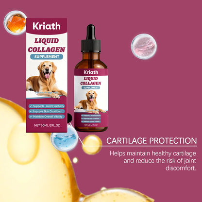 Collagen Drops for Dogs Only - Cares for Dog's Body, Gentle Formula, Nourishes Fur Health, Supports Joints, Skin & Bone Health