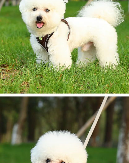 Harness for a Dog Harness Guard Harnesses for Dogs Pet Puppy Big the Small Breed Medium Anatomical Large Breeds Goods Product