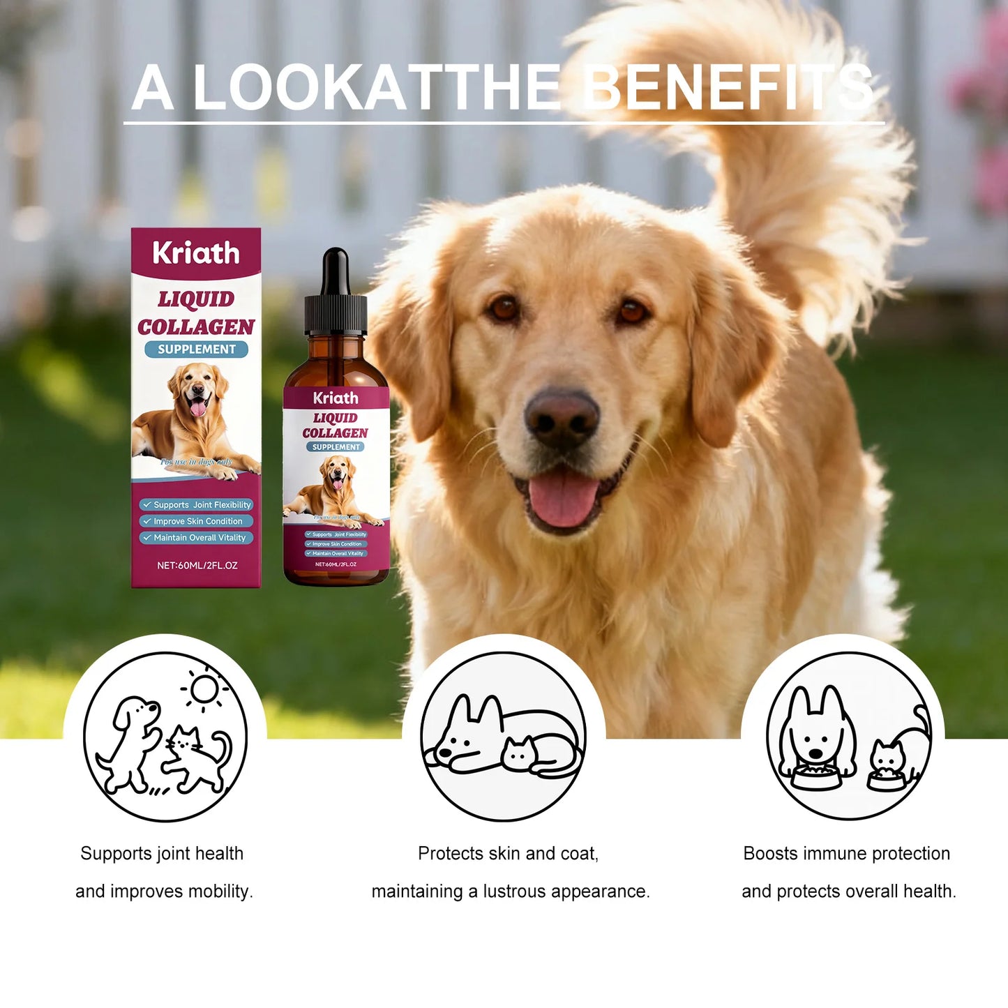 Collagen Drops for Dogs Only - Cares for Dog's Body, Gentle Formula, Nourishes Fur Health, Supports Joints, Skin & Bone Health