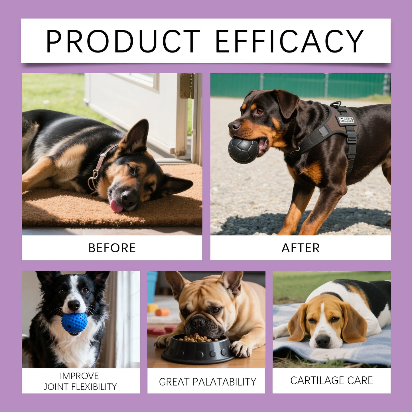 Pet Dog Joint Care Soft Chews-Nourishing Formula Supports Cartilage Relieves Discomfort Supplements Nutrition Promotes Movement