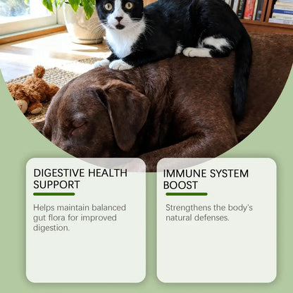 Pet Nutrition Supplement Probiotic Drops Containing Enzymes Used For Pet Digestion And Immune Support Daily Health Supplement