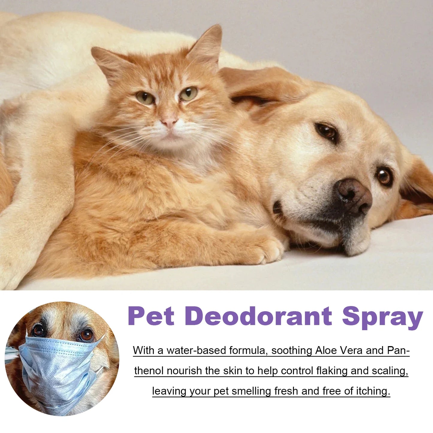 Pet Odor Eliminator Spray for Home Dog Cat Urine Feces Smell Long Lasting Air Freshener Natural Deodorizer 50ml Travel Size