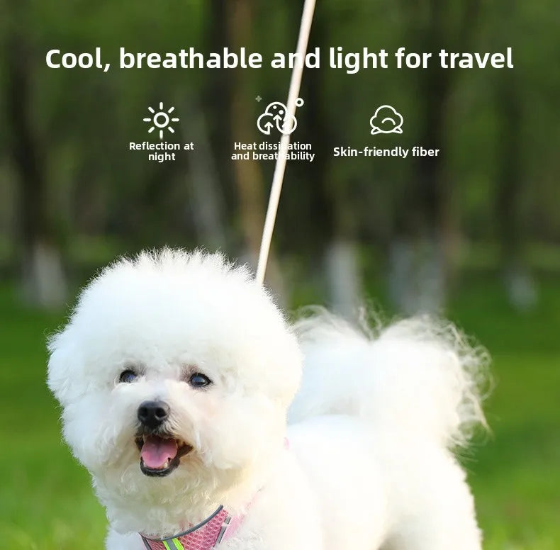 Harness for a Dog Harness Guard Harnesses for Dogs Pet Puppy Big the Small Breed Medium Anatomical Large Breeds Goods Product