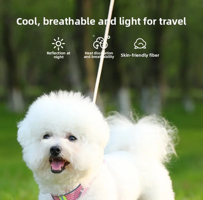 Harness for a Dog Harness Guard Harnesses for Dogs Pet Puppy Big the Small Breed Medium Anatomical Large Breeds Goods Product