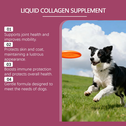 Collagen Drops for Dogs Only - Cares for Dog's Body, Gentle Formula, Nourishes Fur Health, Supports Joints, Skin & Bone Health